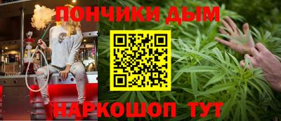 индика Бийск