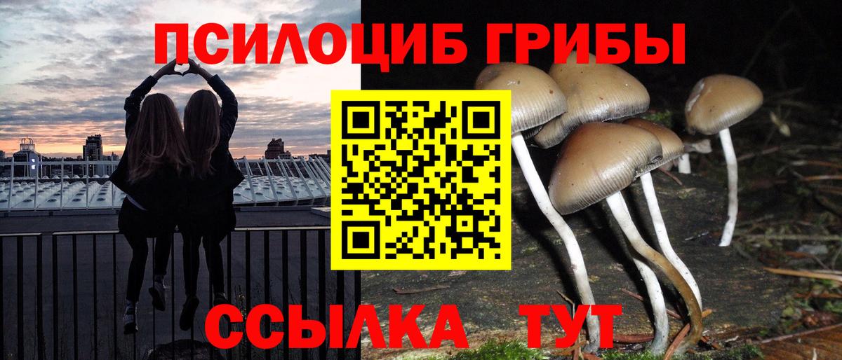 Галлюциногенные грибы Psilocybe  Вход с VPN  Когалым 