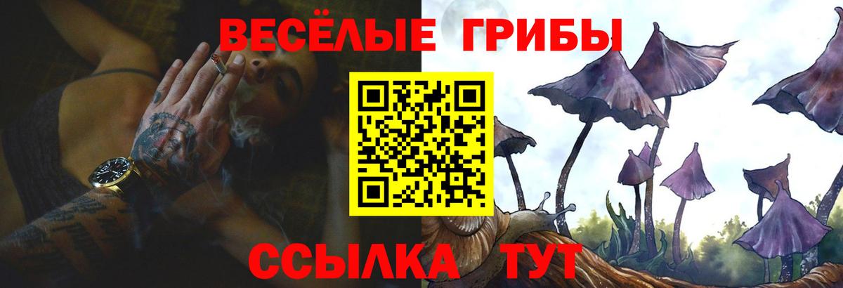Псилоцибиновые грибы Cubensis Когалым